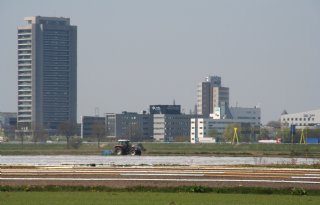 Rechter vraagt provincie Brabant om ‘pas op plaats’ in stallendeadline