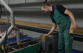 Varkenshouder Elshof verlaagt CO2-voetafdruk flink
