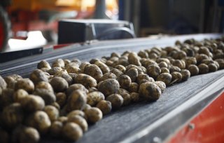 Financiële veerkracht landbouw maskeert grote verschillen