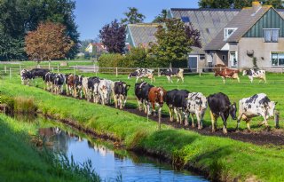 Zuivelmarkt draait nog altijd op twee snelheden