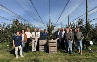 Gelderland vraagt begrip voor netten en overkappingen in de tuinbouw