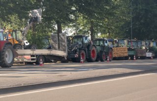 Nieuwe deadline voor Brabant in zaak rond vergunningen pluimveehouders