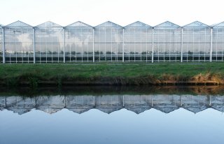 Glastuinbouw Nederland distantieert zich van tuinders die blijven lozen