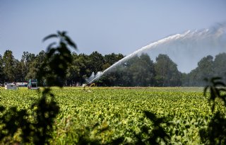 Waterschappen bezorgd om politieke keuzes over beschikbaarheid zoet water