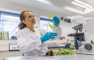 Biotech biedt landbouw miljardenkansen