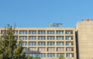Droogte drukt vraag naar gewasbeschermingsmiddelen Syngenta