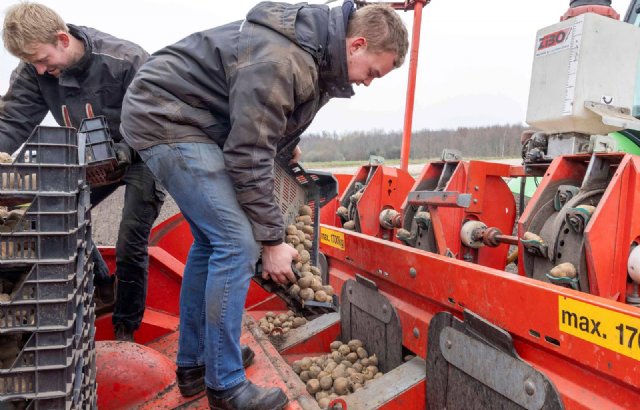 Groningse aardappelteler brengt eerste Frieslanders in de grond