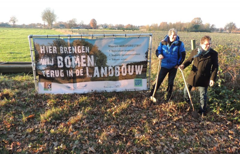 Combinatie landbouw en bosbouw groter dan som der delen - Nieuwe Oogst