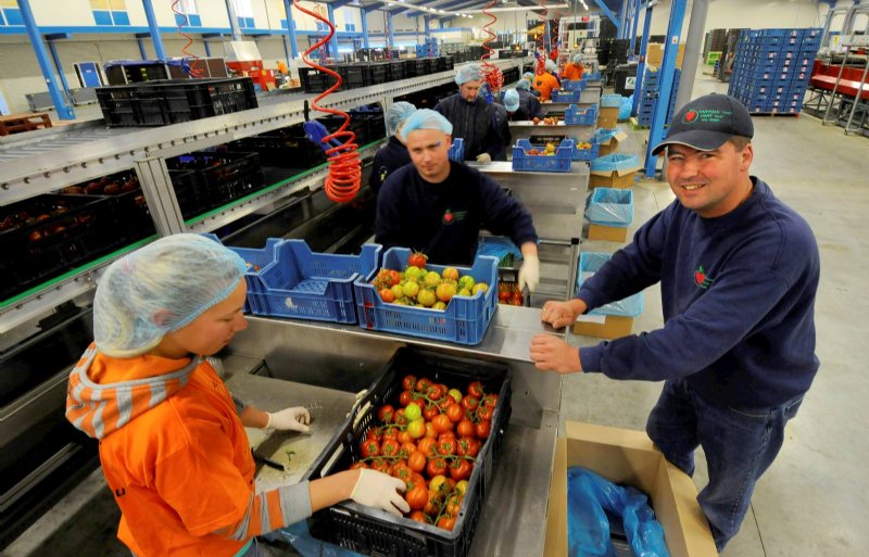 The Fruit Farm Group neemt Hartman over Nieuwe Oogst