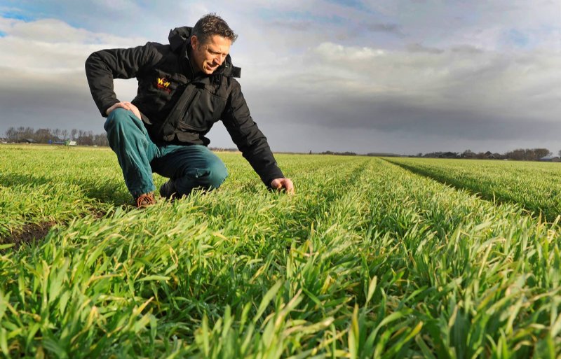 NoordHollandse kwekers werken aan duurzamere bollenteelt Nieuwe Oogst